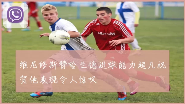 维尼修斯赞哈兰德进球能力超凡祝贺他表现令人惊叹