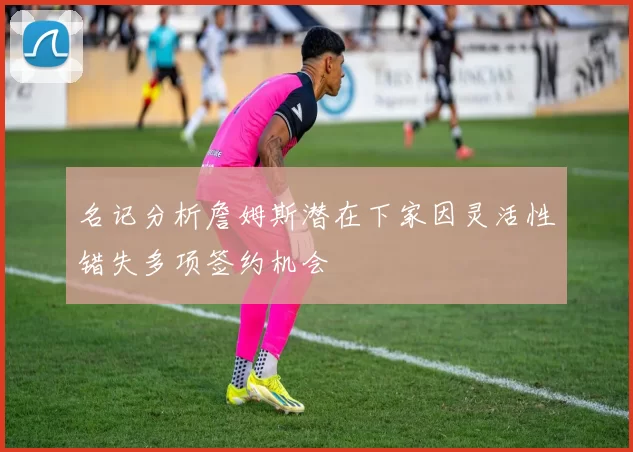 名记分析詹姆斯潜在下家因灵活性错失多项签约机会